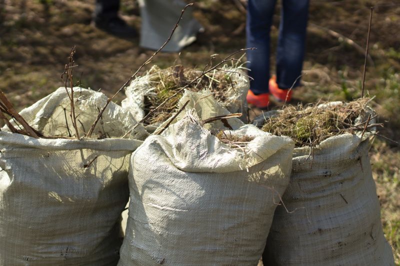 Junk Hauling Service